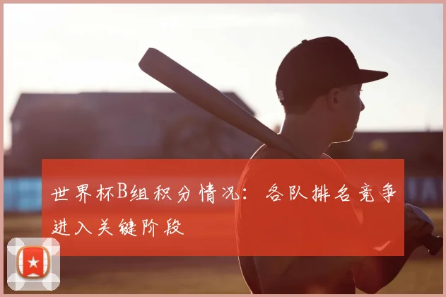 世界杯B组积分情况：各队排名竞争进入关键阶段
