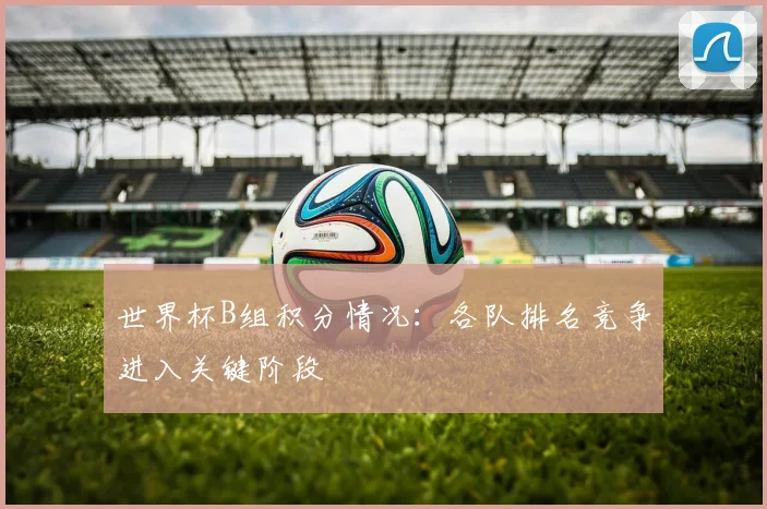 世界杯B组积分情况：各队排名竞争进入关键阶段