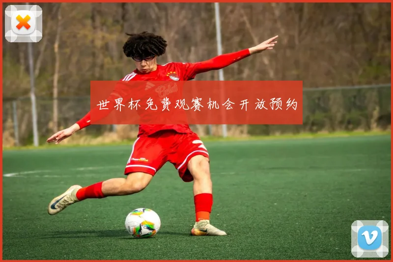世界杯免费观赛机会开放预约