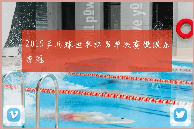 2019乒乓球世界杯男单决赛樊振东夺冠