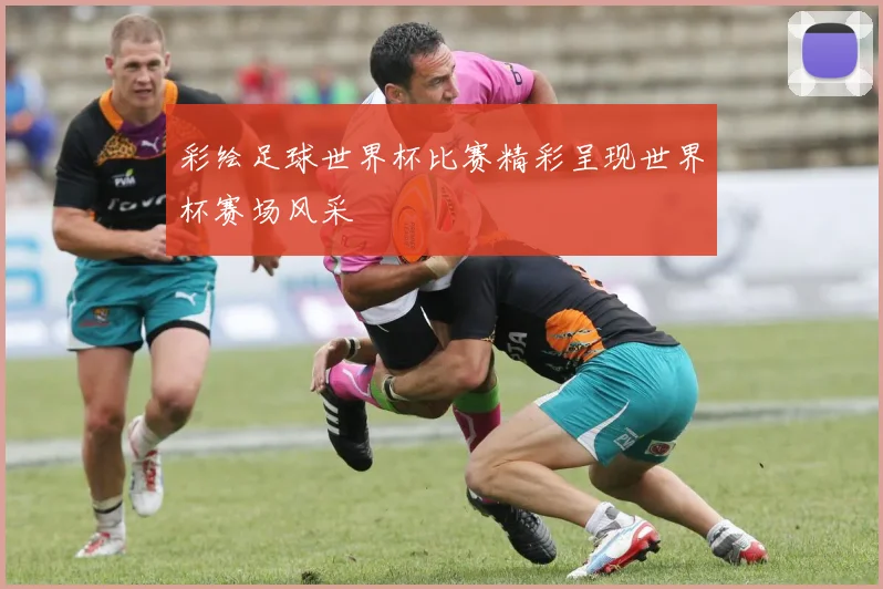 彩绘足球世界杯比赛精彩呈现世界杯赛场风采